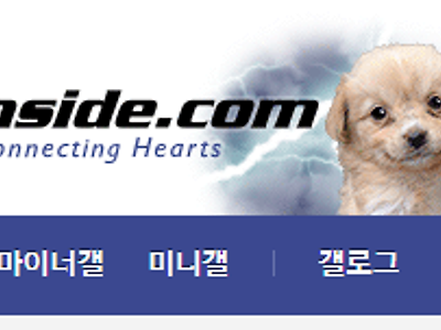 디씨 메인에 개죽이 걸려있네