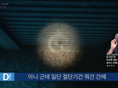 화이트데이2가 스토리 몰입도가 많이 떨어지는 이유