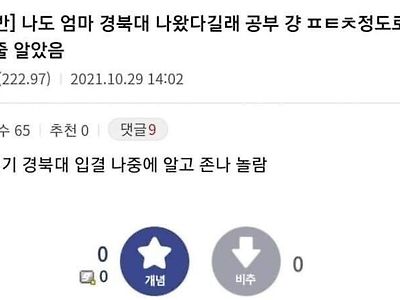 엄마가 경북대 나왔다는 디씨인.txt