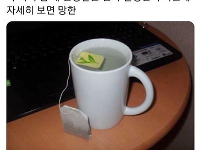 내 인생같은 차