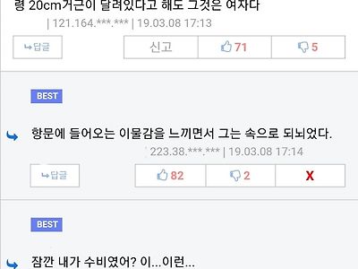 '항문에 들어오는 이물감을 느끼면서 그는 속으로 되뇌었다'