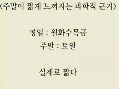 주말이짧아