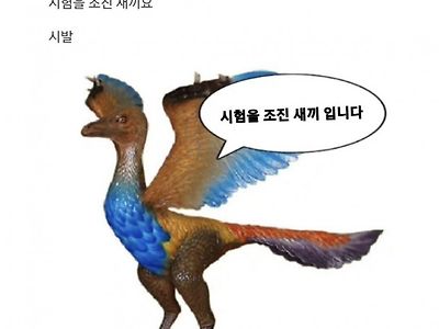 시험 망친 에타인