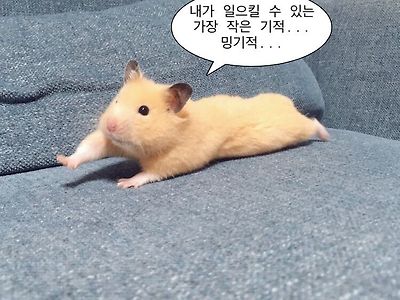 내가 일으킬 수 있는 작은 기적