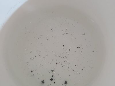 정수기 오래 사용하면 원래 다 이런거임?