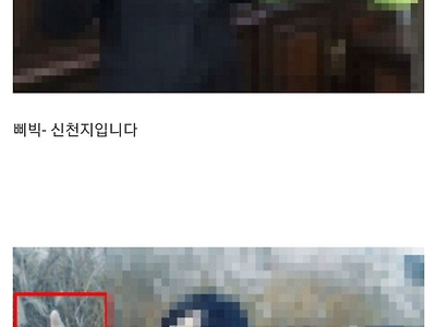 사진 찍을때 신촌■ 구별하는 법