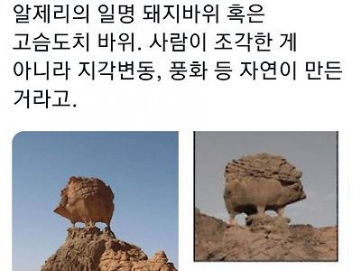 자연의 신비