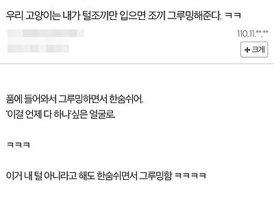 털조끼입으면 그루밍해주는 냥이