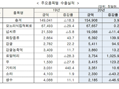 싱싱한 제주도 특산물