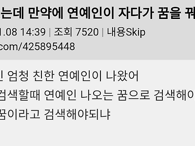 만약에 연예인이 자다가 꿈을 꿨는데...jpg