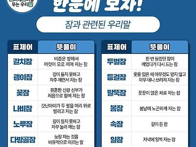 잠에도 진심인 한국인