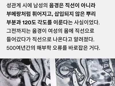 연구를 위해 MRI에서 성관계를 나눈 커플