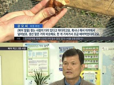 술 안주로 복어 훔쳐먹다 사망한 사람들