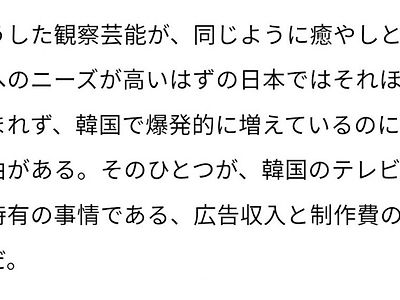 일본인이 말하는 한국에서 관찰예능이 인기있는 이유