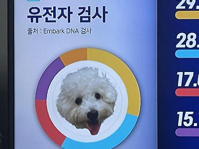 8시 뉴스 보는데