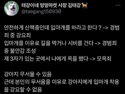 개 입마개 하라고 하면 안되는 이유
