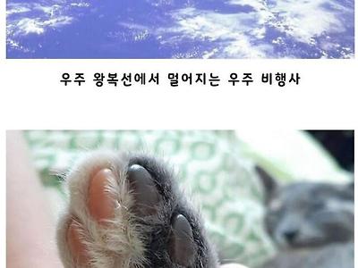 살면서 보기 힘든 신기한 사진들