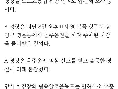 음주운전 사고 낸 현직 경찰관 직위해제