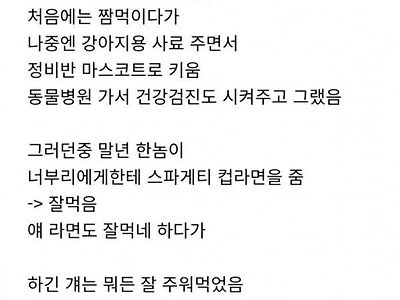 의외로 너구리한테 주면 안되는것