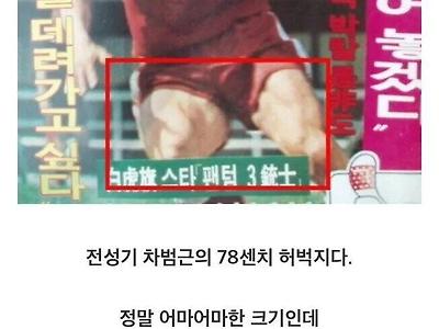 운동선수들의 허벅지 크기