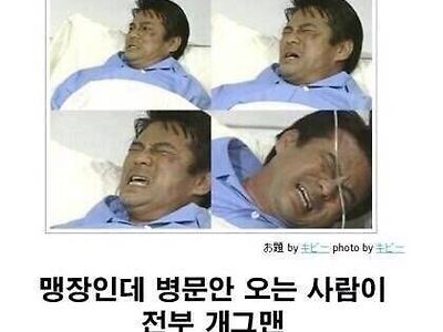 일본에 잘못 알려진 한국 밈