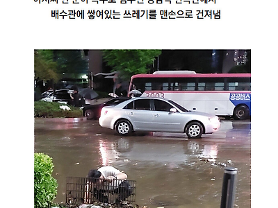 배수시설이 막힌 이유