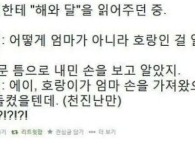 해와 달에서 호랑이가 저지른 실수