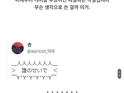 아이폰 C 타입 탑재 일본반응
