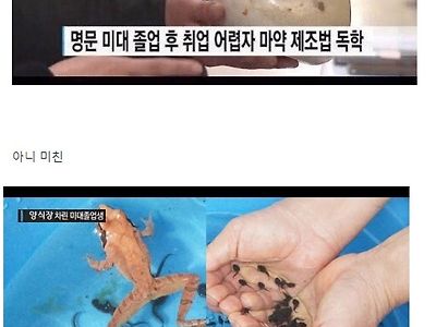 명문 미대 나온 사람들이 무서운 이유