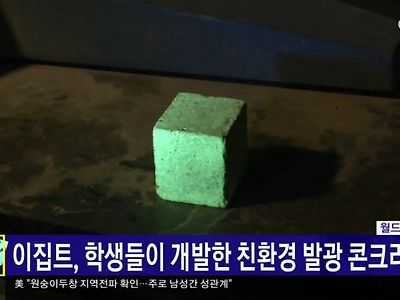 이집트 근황.news