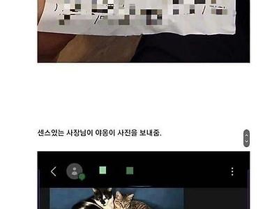 배달시켰는데 겪은 고양이 썰.