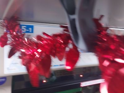 부산 5-1번 버스 근황.jpg