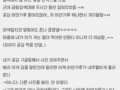하얀가루때문에 공항검색대에서 잡힘