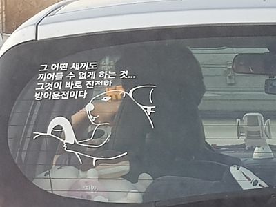 진정한 방어운전을 보았다.