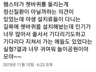 햄스터가 쳇바퀴 돌리는 이유