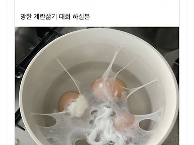 망한 계란삶기 대회ㅋㅋ