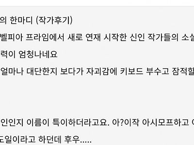 노벨피아 신입들 글쓰는 거 보고 경악한 작가