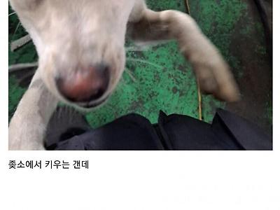 휴일날에 나오는 ㅈ소기업 직원