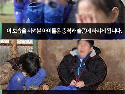논란이 있는 일본의 동물 사육 교육 프로그램
