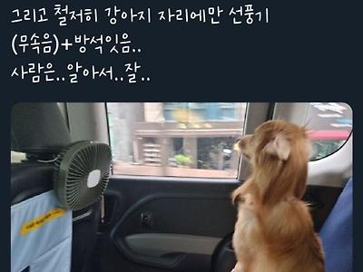 승객차별하는 카택기사