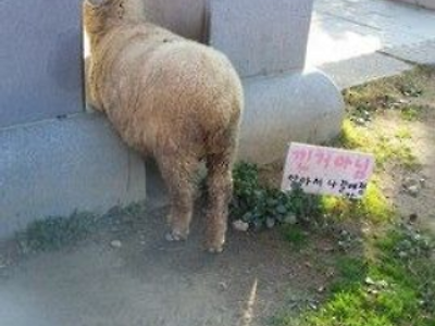 낀 거 아님.jpg