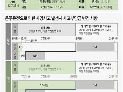 자동차보험 사고부담금 변동