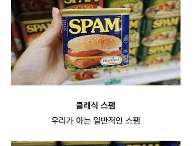 한국인은 잘 모르는 다양한 스팸
