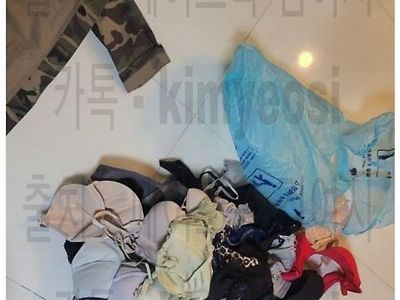 남친이 여자 속옷 모으는 취미가있다는 여시