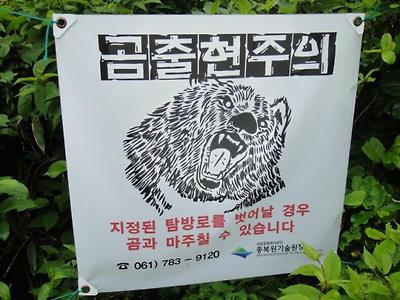 지리산에 방생했던 반달곰 친구 jpg