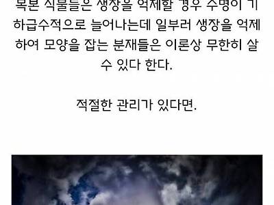 식물이 이론상 무한히 살 수 있는 방법