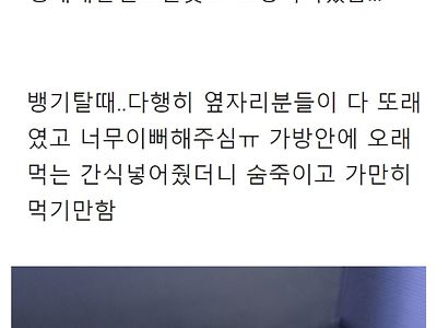 강아지랑 제주도 여행 가지마라