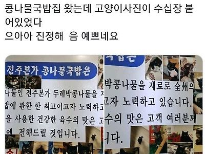 고양이를 너무너무 자랑하고 싶었던 콩나물.