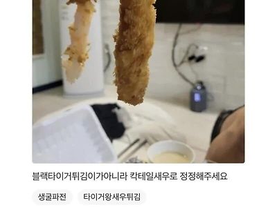 사장님 이거 타이거 새우 아니에요