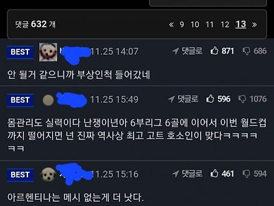 아르헨티나 사우디전 이후 나뭇잎마을 여론